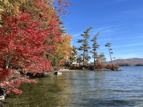 161789a7-0153-409c-bc10-c49bbdeb9eef