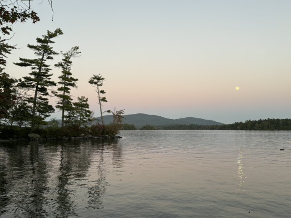 1ac3c231-2357-4533-bb08-4a456979ecc3 (1) (1)-1